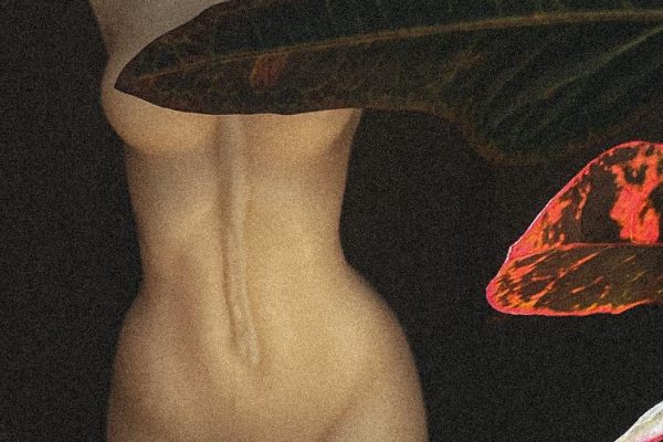 Watching Porn Videos: What You Should Know About Its Impact on Your Mental and Physical State